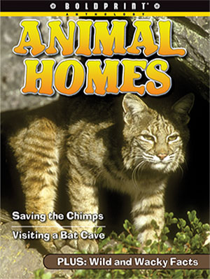 Animal Homes