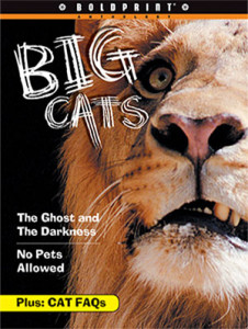 big cats