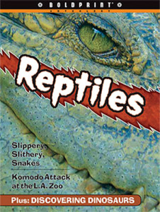 Reptiles