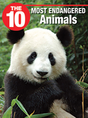The 10 Most Endangered Animals - Rubicon, a Savvas Company The 10 Most Endangered Animals - Rubicon, a Savvas Company